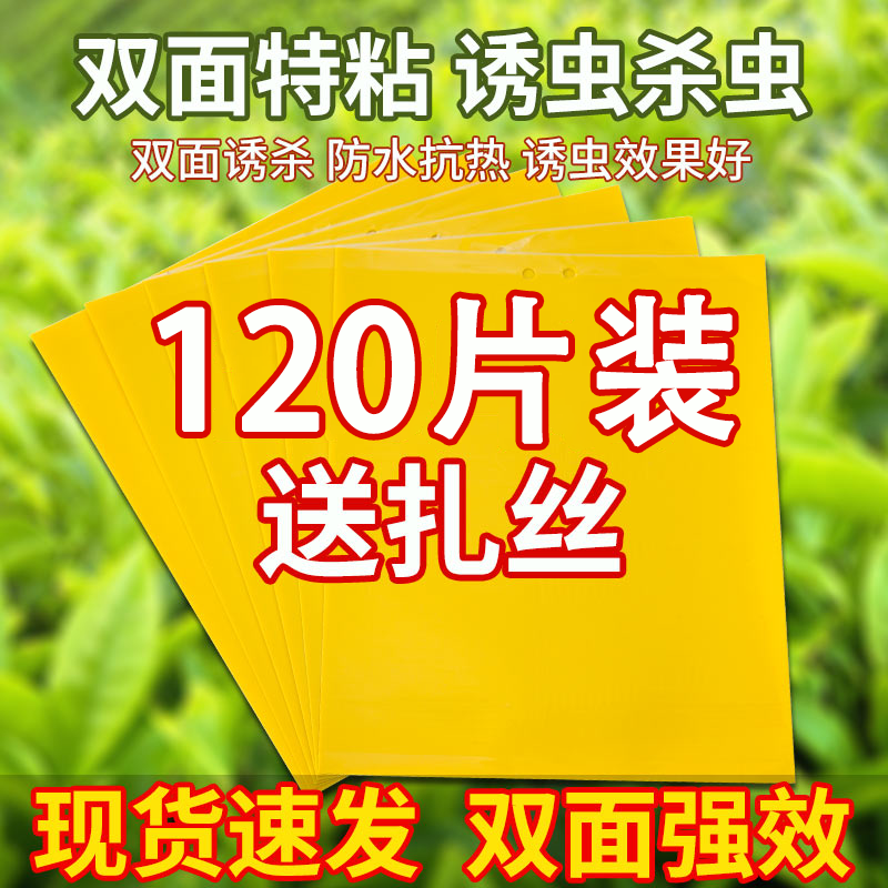 【120片装】强力双面黄板粘虫板诱捕捉蚊子小飞虫贴纸沾大棚苍蝇扳