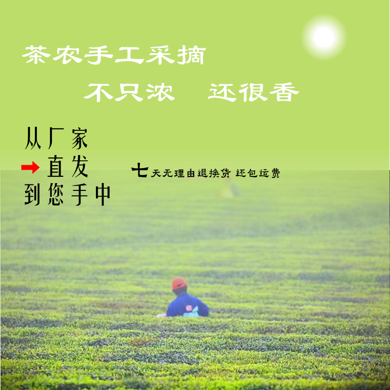 特级精选【b3】款毛尖一芽一叶绿茶嫩芽嫩叶的高山茶叶浓香