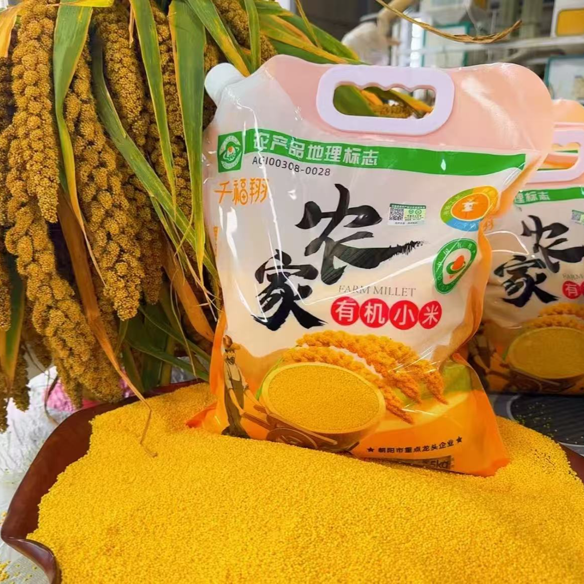 【工厂直发】千福翔—2025年有机农家新黄小米2.5KG/袋