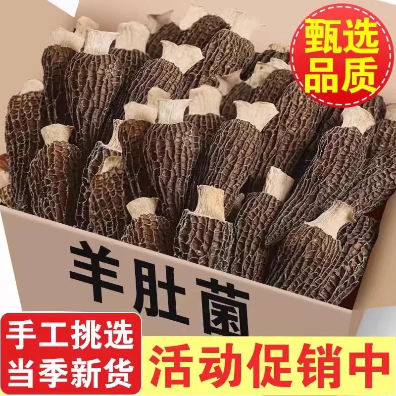 2025年正宗头茬羊肚菌干货鲜货煲汤食材六妹品质菌菇产地直发价