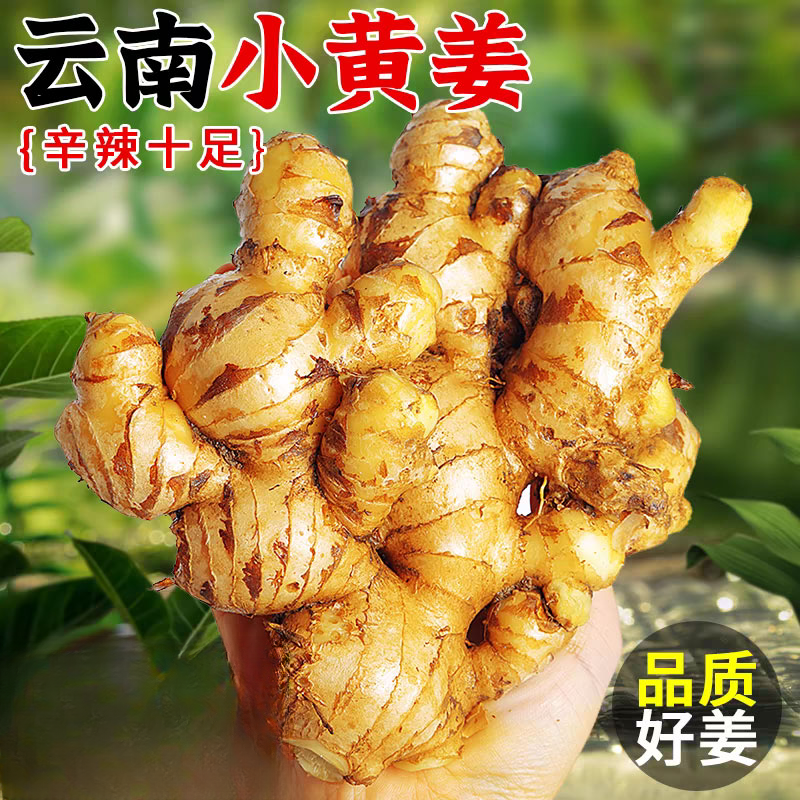 正宗云南小黄姜新鲜采挖老姜新鲜现挖老姜整箱批发