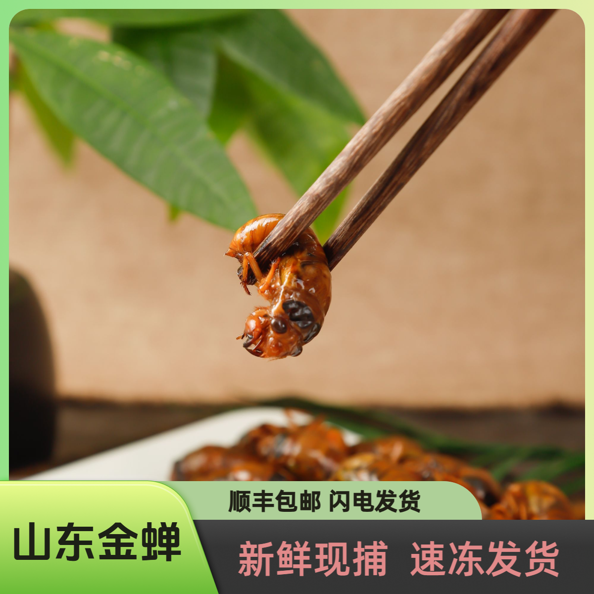 2025山东特产金I蝉爬叉节流50只100只200只知了蝉速冻知知了猴