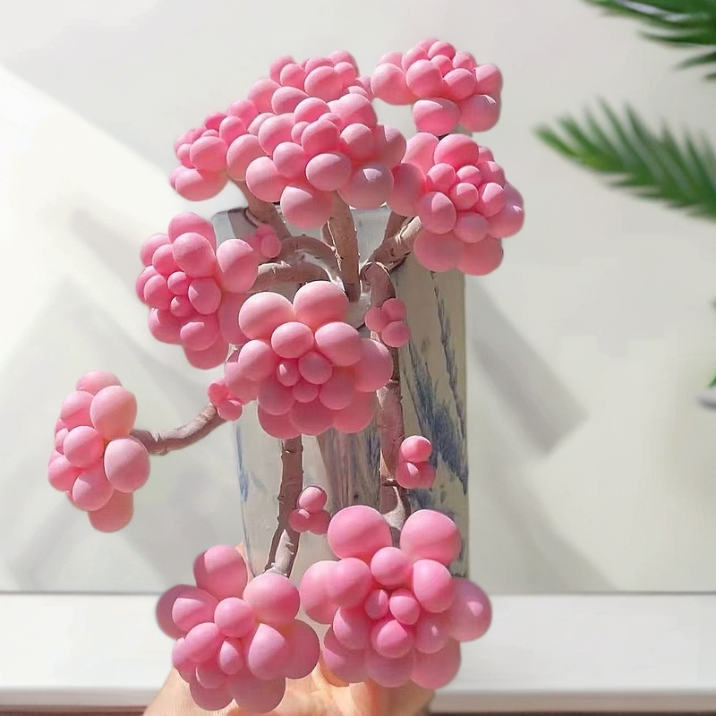 老桩桃蛋多头多肉群生植物肉肉新手办公室创意盆栽绿植防辐射花卉