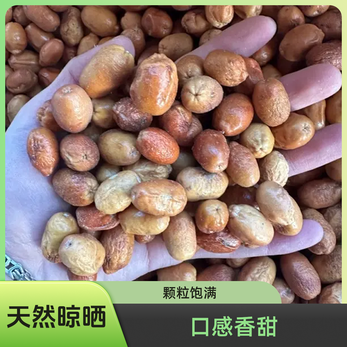 原味喀什沙枣 正宗野生沙漠珍品 儿时的味道 天然沙枣干