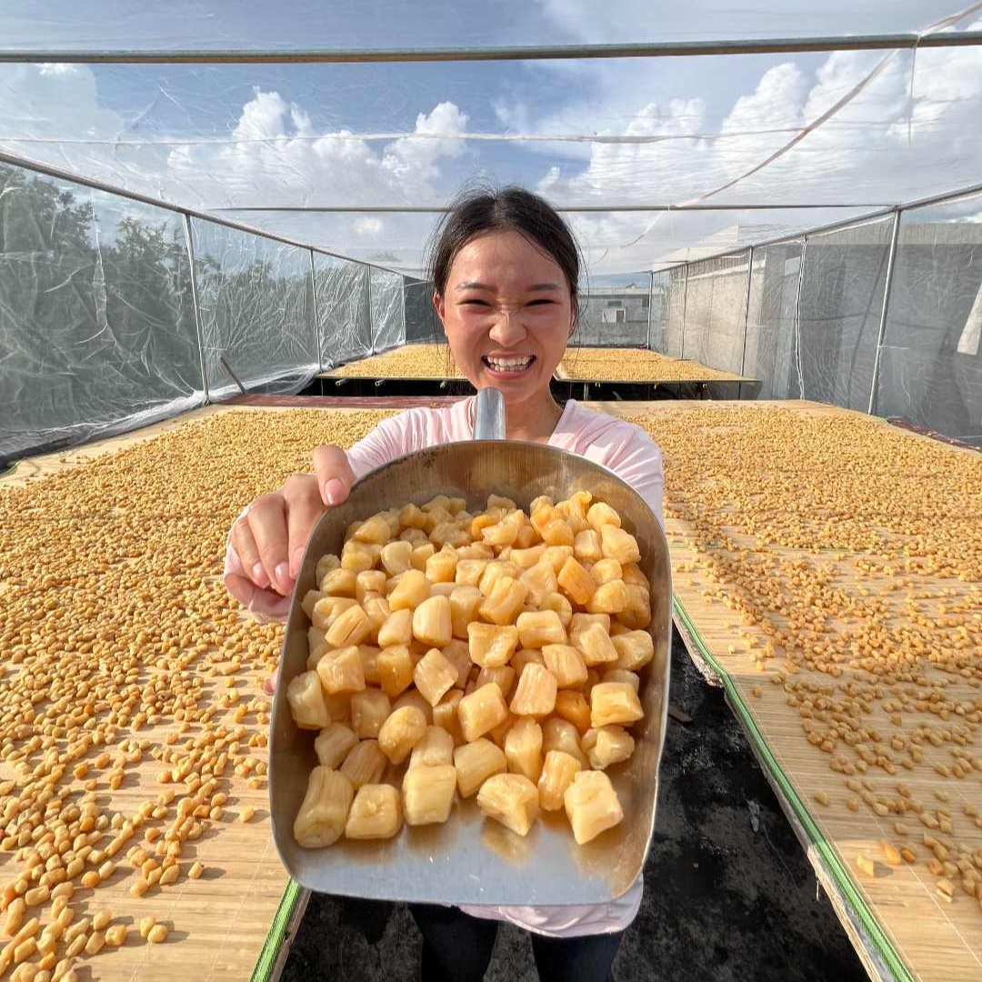 北海生晒瑶柱 淡晒瑶柱