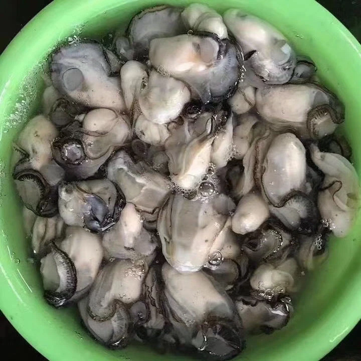 莆田本地海蛎现开现发原浆海蛎（冰冻后发货）4斤顺丰包邮
