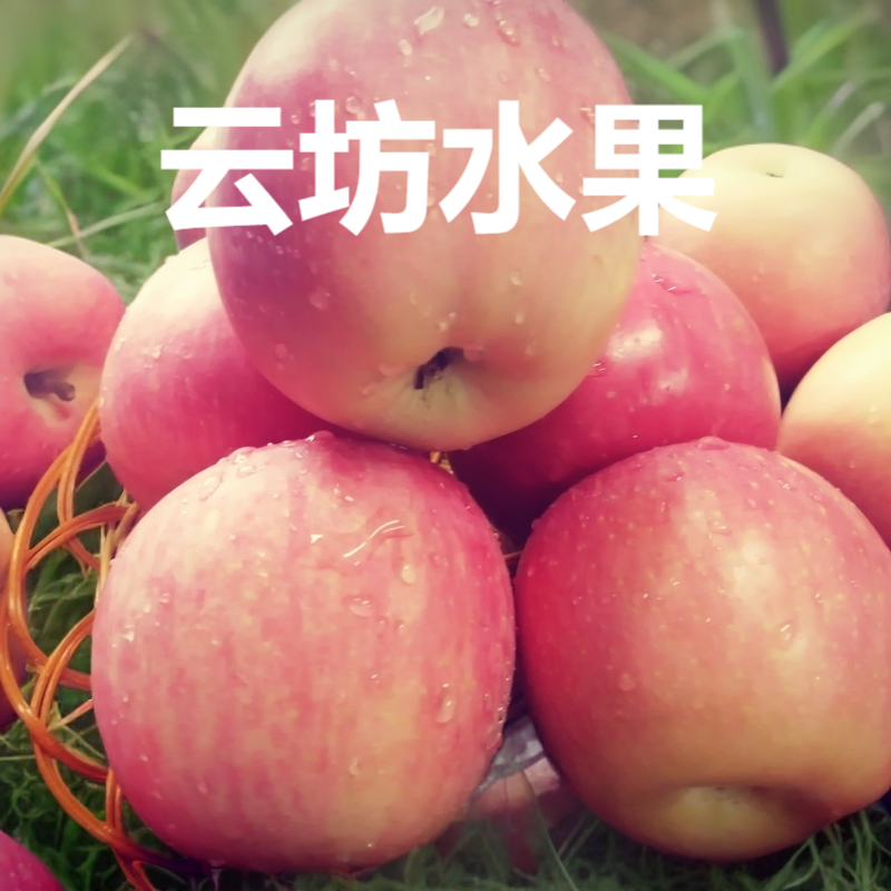 2025陕西纸袋红富士苹果含箱5斤10斤新鲜香甜多汁果香浓郁高原