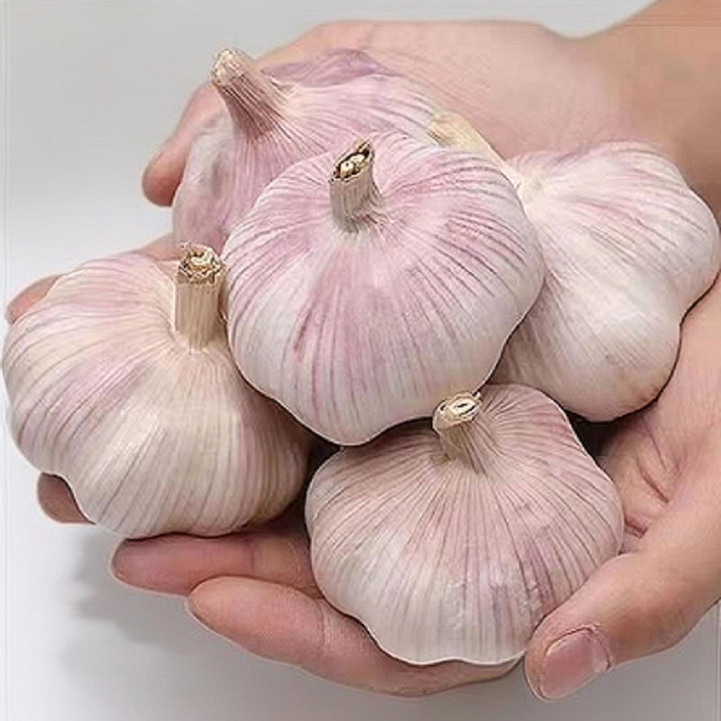 【干大蒜】2025新晒紫白皮干蒜农家大蒜头干大蒜紫白皮干蒜