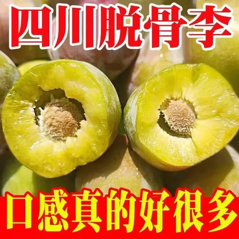 【助农专属】3斤5斤半边红脱骨李新鲜采现采脆甜可口新鲜果园发货