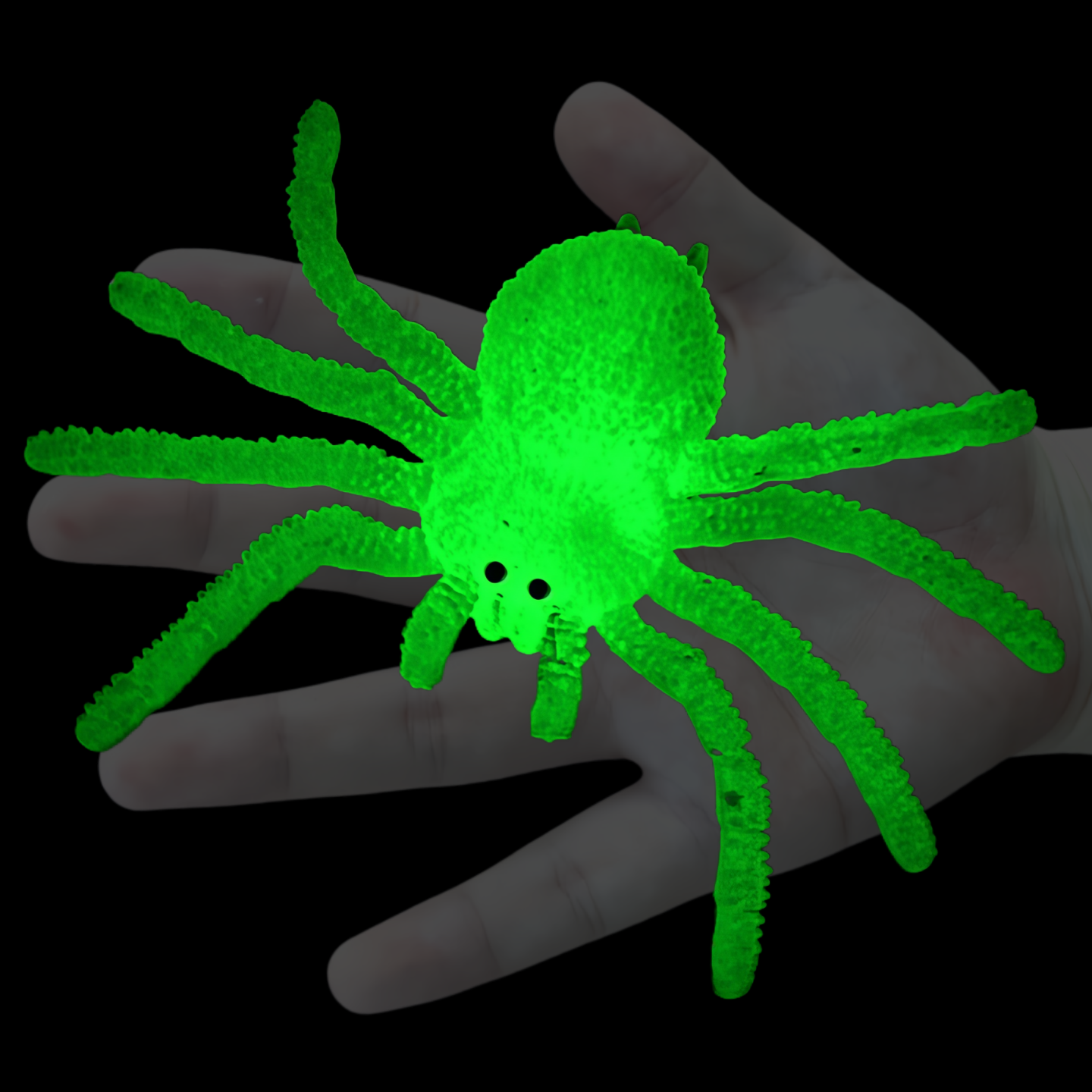 JDXK夜光软胶蜘蛛玉色超亮幼儿园品牌玩具吓人发光假昆虫动物模型