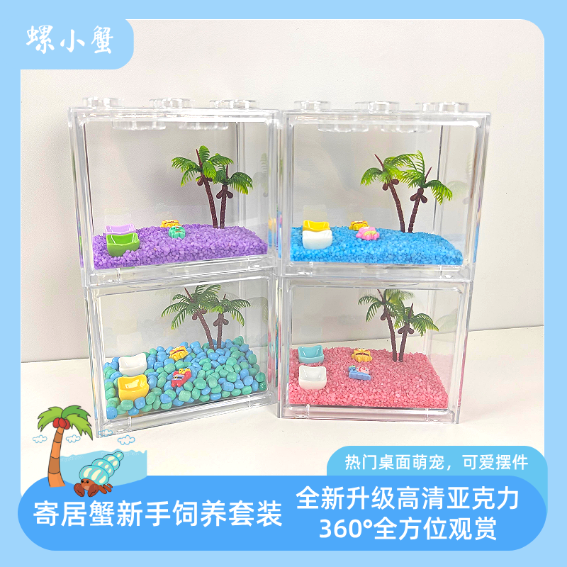 螺小蟹小豆丁寄居蟹饲养套餐  积木盒套装儿童礼物桌面萌宠饲养盒