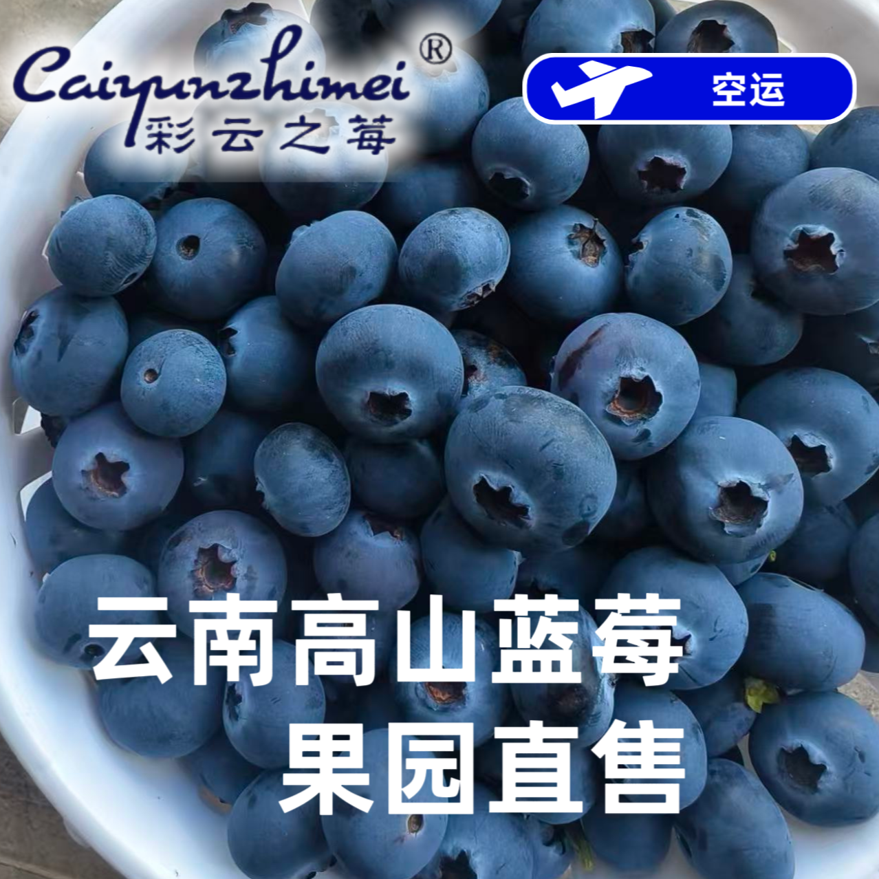 【霸王莓】云南蓝莓鲜果新鲜水果 当季高山花香 孕妇 顺丰/邮政空运