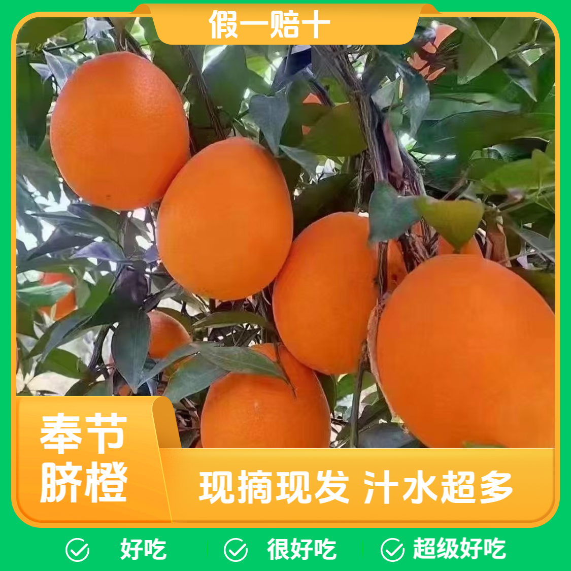 【正宗奉节脐橙纽菏尔】奉节脐橙新鲜现摘多汁香甜当季水果产地直发