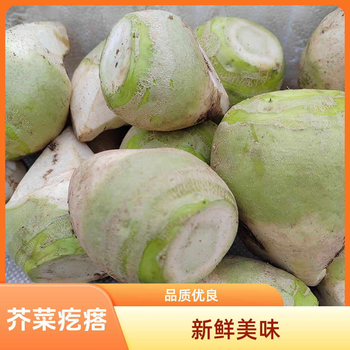 芥菜疙瘩新鲜芥菜头腌咸菜农家自种 新鲜采摘