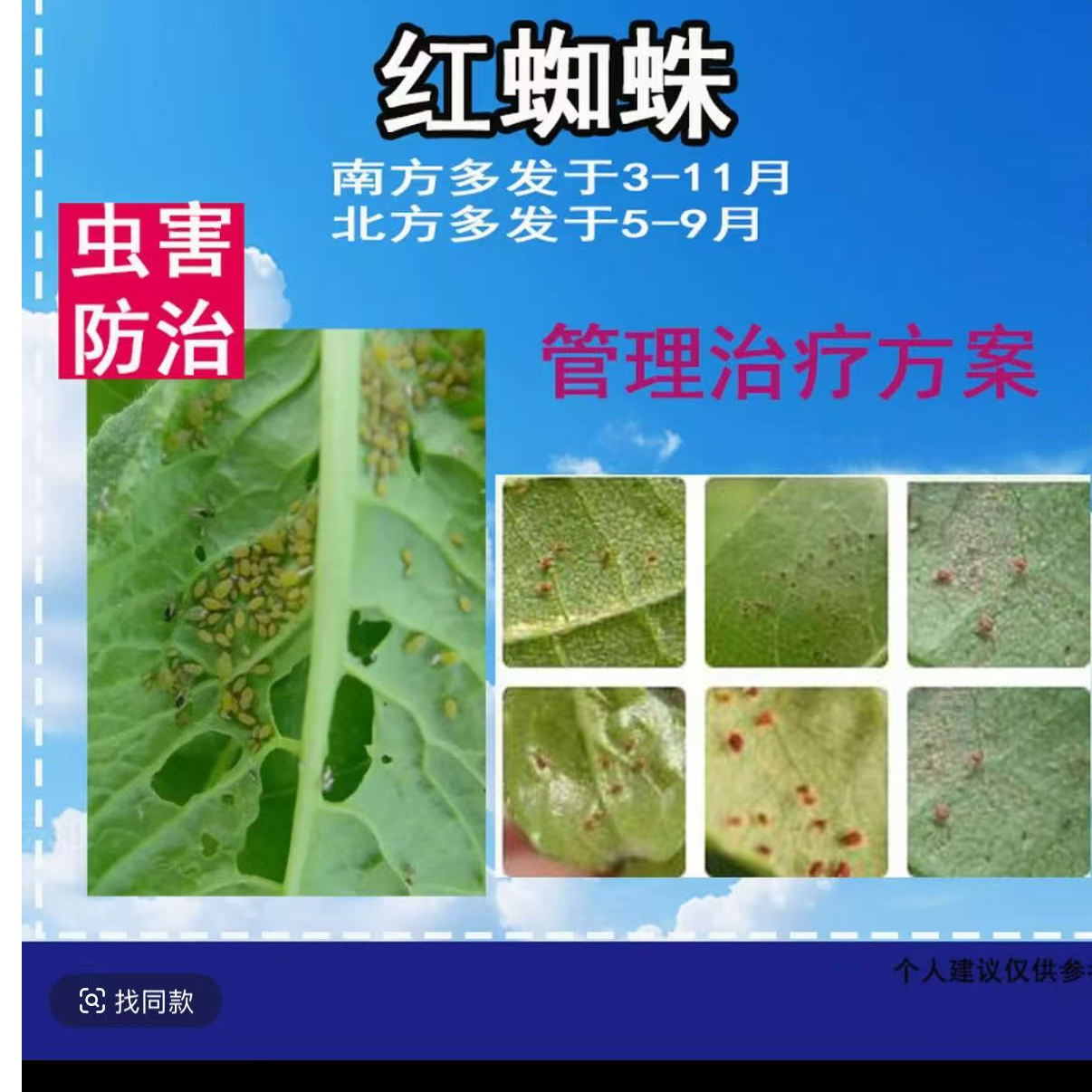 红蜘蛛防治专用剂