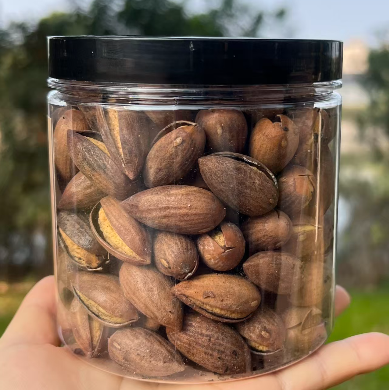 （【榧农自产自销】大开口特好剥）2025新货古树香榧绍兴诸暨特产香榧