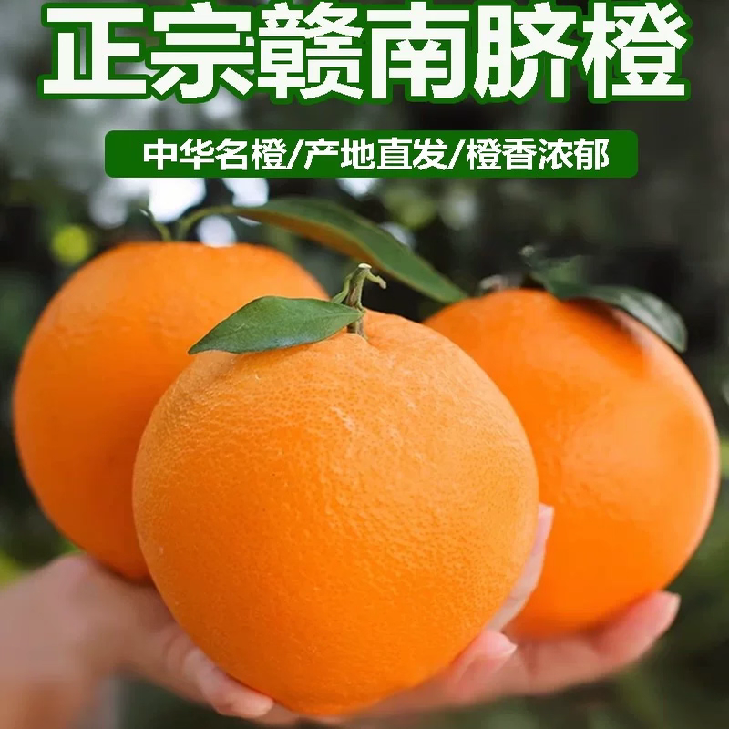 [正宗赣南脐橙】信丰果园直发应季水果清甜多汁现摘现发新鲜橙子
