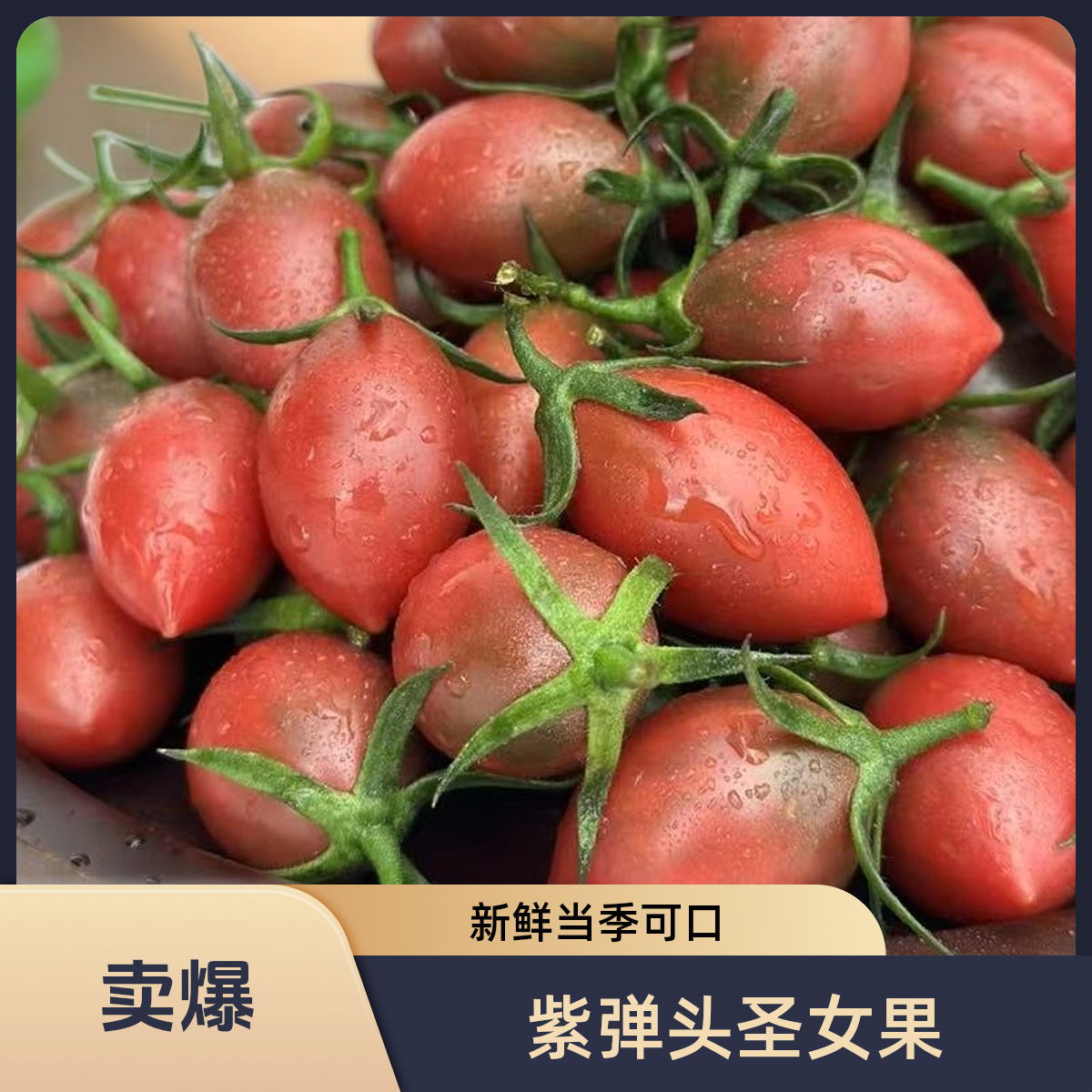 紫弹头圣女果迷彩番茄新鲜当季孕妇圣女果