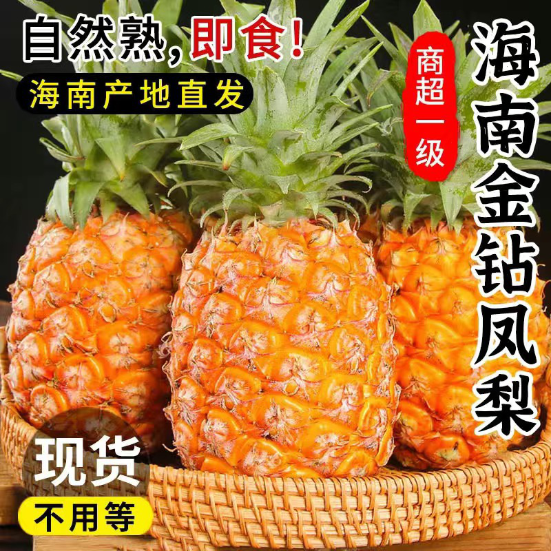 【金钻凤梨】台农17号海南金钻凤梨香甜多汁热带水果树上熟包邮整箱