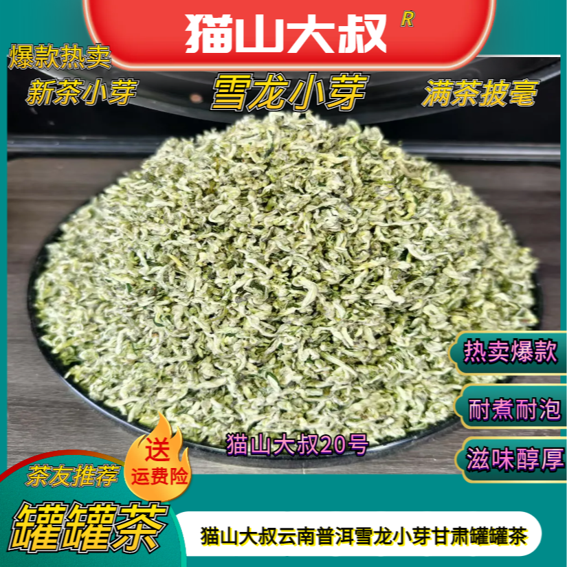 【陇上专属猫山20号】2025新茶云南春尖小雪龙单芽西北甘肃罐罐茶
