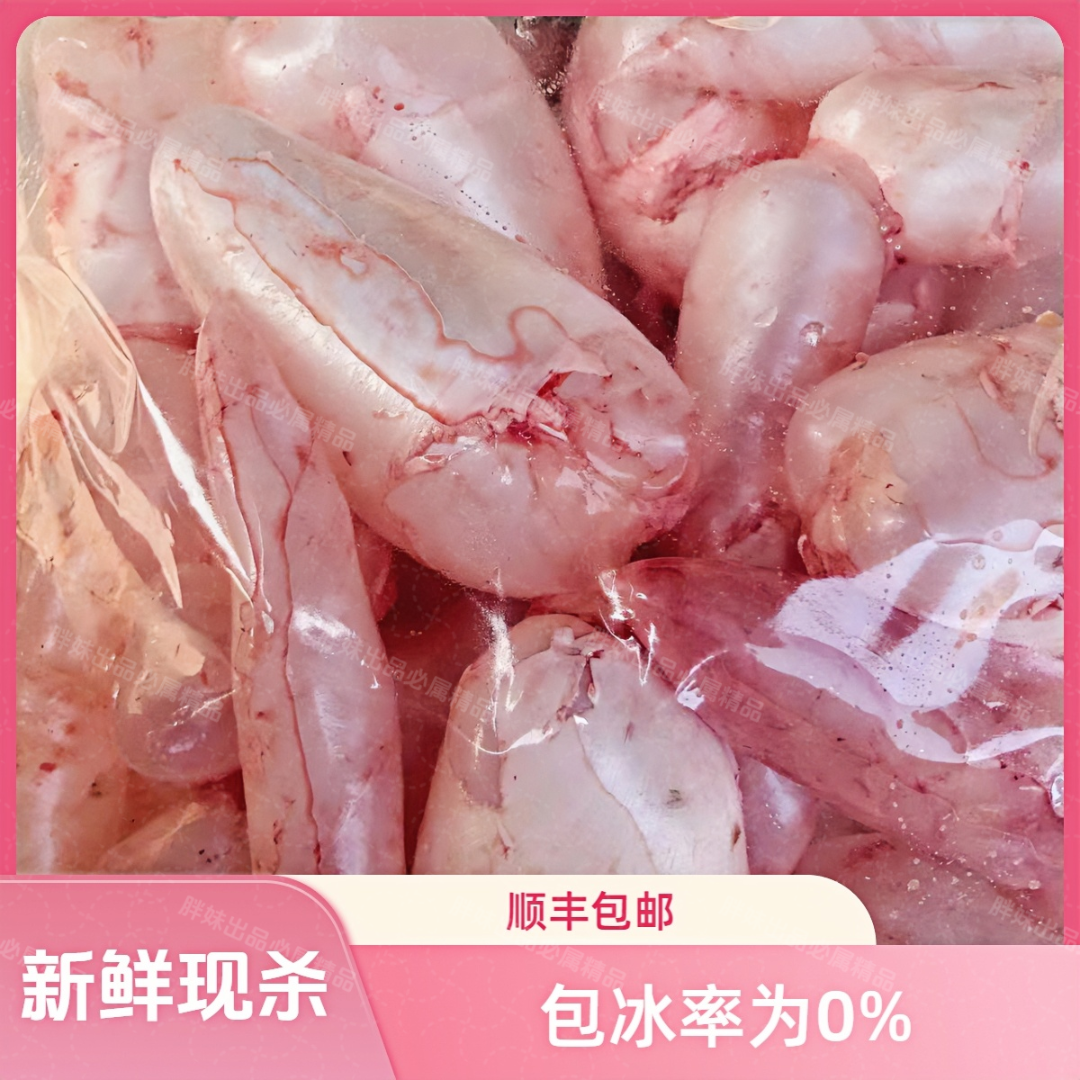 【顺丰冷运】胖妹现杀新鲜鱼泡泡白鲢草鱼泡新鲜鱼胶鱼泡鱼鳔鱼肚