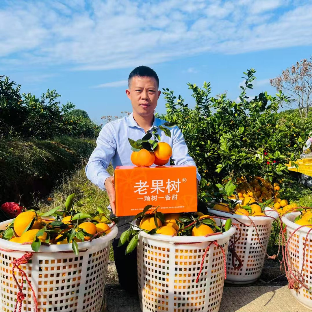 江西赣南脐橙橙子正宗新鲜现摘当季水果香甜多汁产地直发信丰脐橙