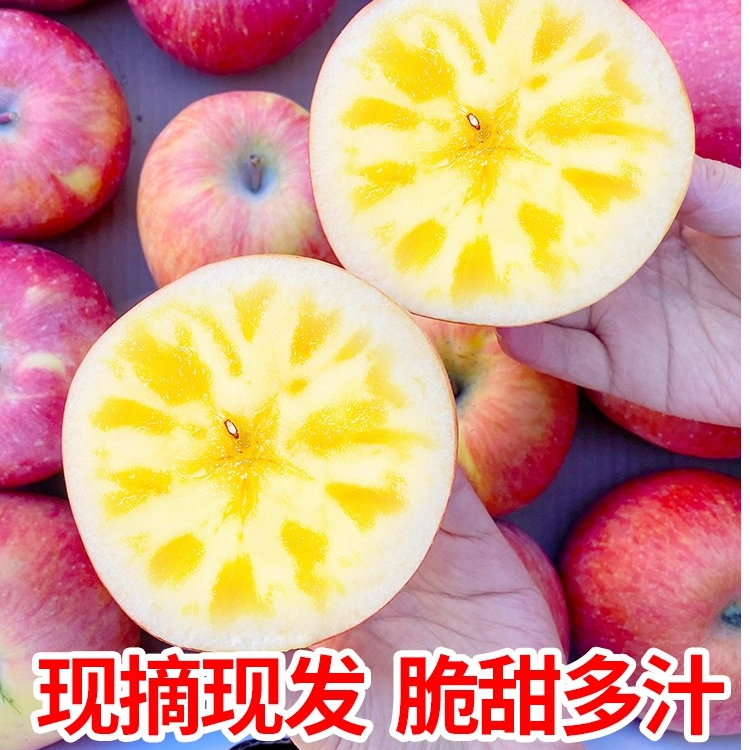 【新疆产地直发】阿克苏冰糖心苹果新鲜现摘头茬鲜果应季孕妇水果