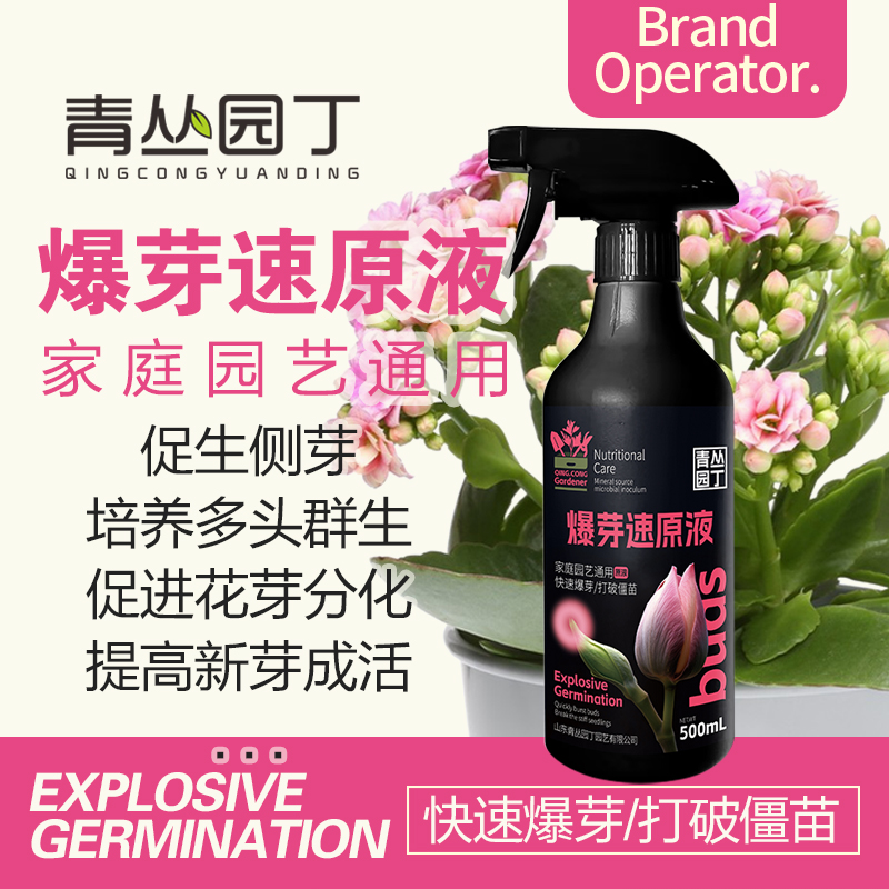 青丛园丁爆芽速原液多芽促芽催芽分化叶插花植物多肉绿植通用型