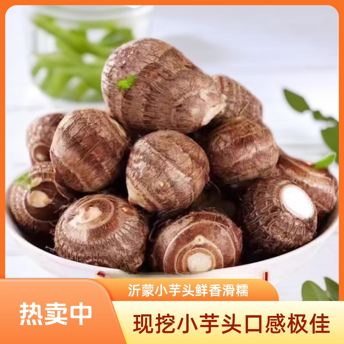 山东沂蒙山现挖牛奶小毛芋头香糯粉滑新鲜芋艿蔬菜