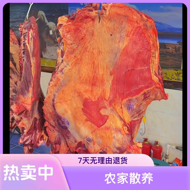 农家散养原生态新鲜冷冻牛排小肋排美味食材牛排骨牛肉牛肋排