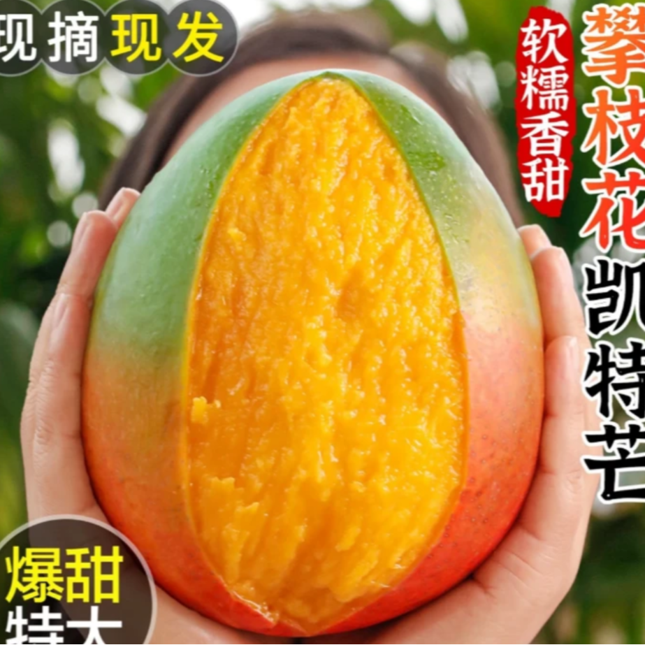 四川攀枝花当季头茬高山凯特芒新鲜现摘青皮芒果香甜多汁大脸芒