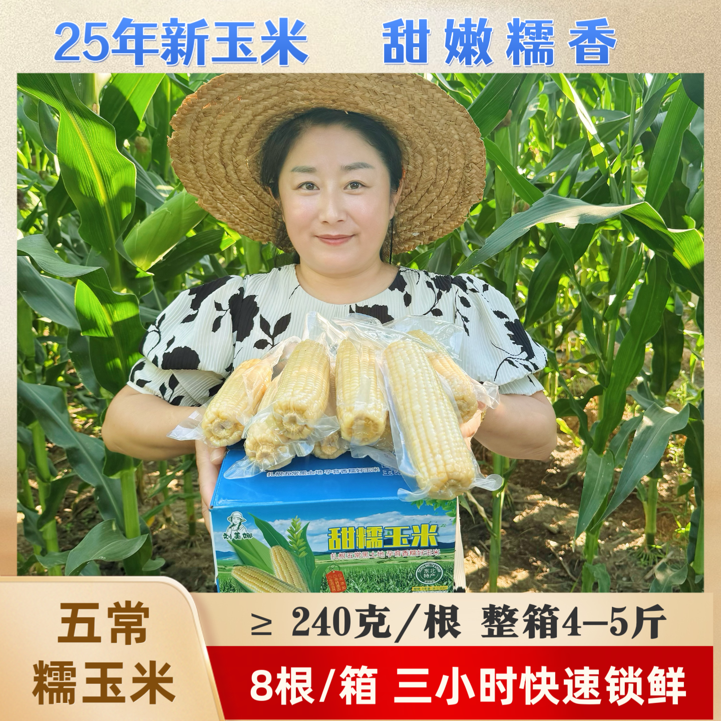 z刘美娜五常糯玉米每箱8根甜嫩糯香颗粒饱满老少皆宜