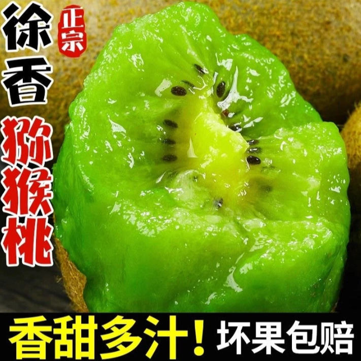 【真徐香】陕西徐香猕猴桃{助农补贴}头茬鲜果坏果包赔三单五单拍12