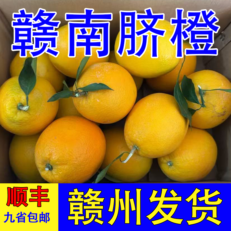 正宗赣南橙脐新鲜江西酸甜橙子薄皮新鲜现摘水果整箱批发新鲜脐橙