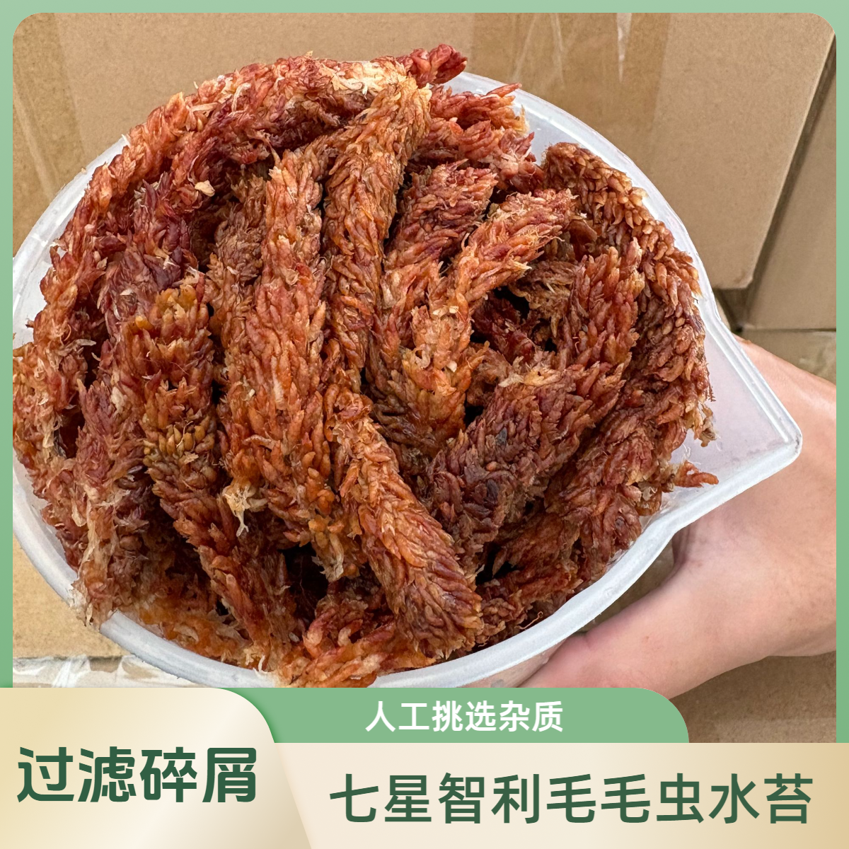 七星级智利毛毛虫水苔-植物发根长根-蝴蝶兰/石斛/鹿角蕨/君子兰