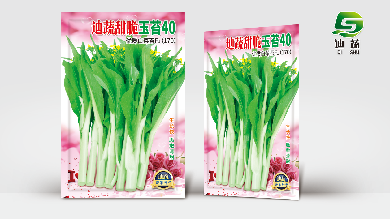 玉苔40白菜苔种子蔬菜种子油菜芯籽四季种植盆栽农家蔬菜种子