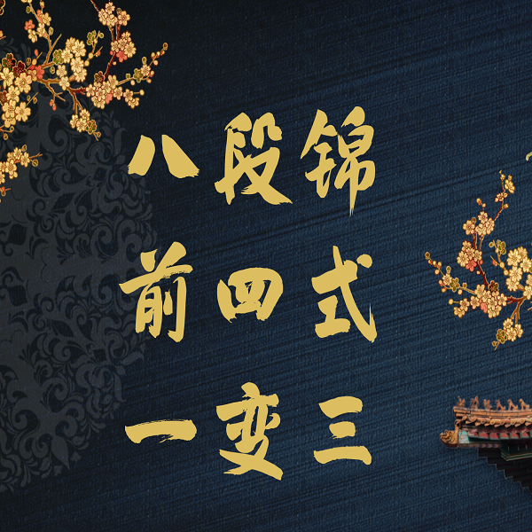 八段锦前四式一变三化共12个动作线上视频课