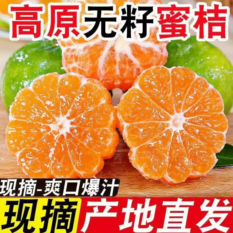 高山青皮无籽蜜橘新鲜应季水果酸甜爆汁薄皮包邮1
