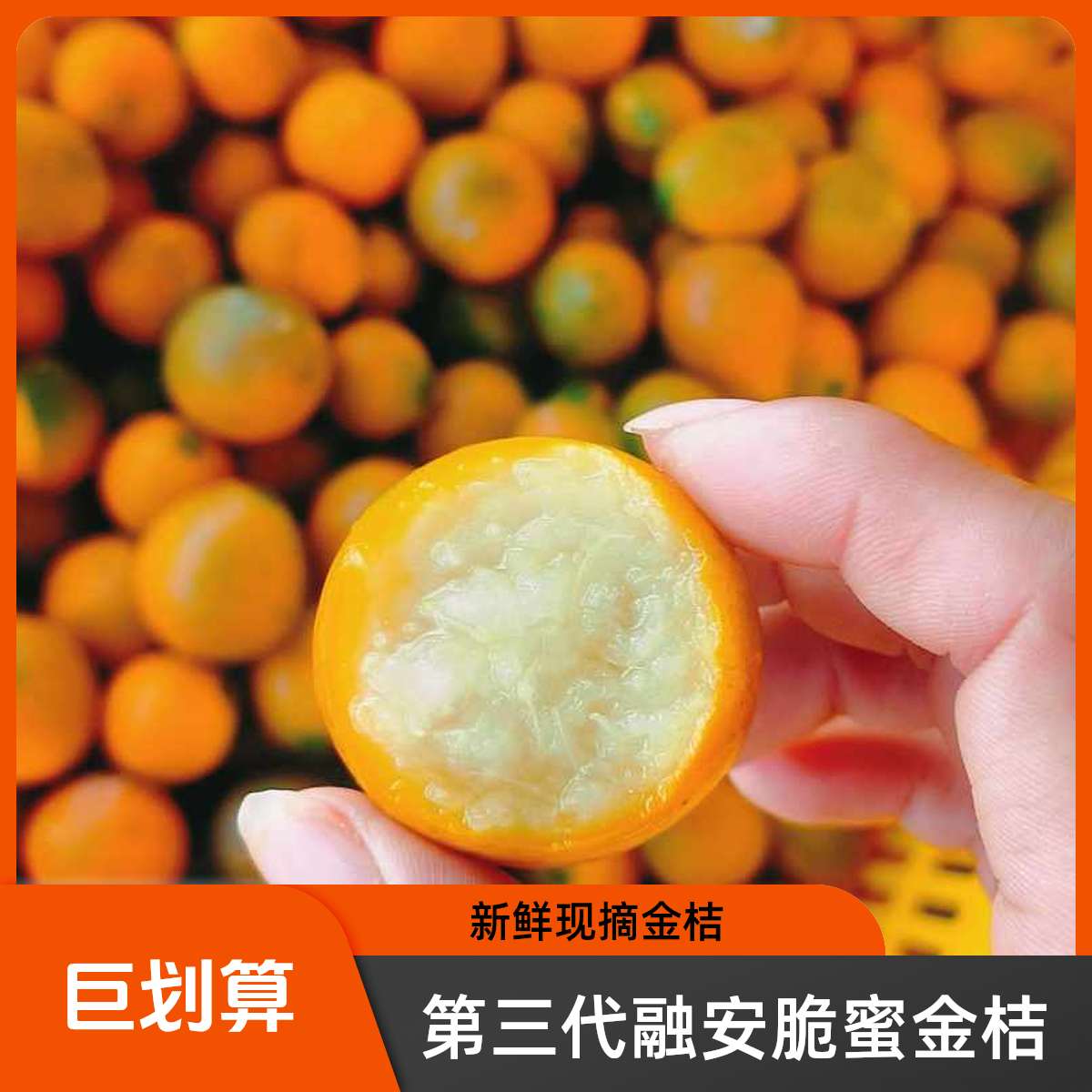 【家庭装】广西融安脆蜜金桔第三代脆蜜金柑纯甜无籽爆汁原产地直发
