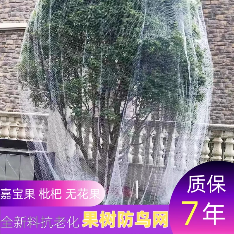 果树防鸟网罩嘉宝果琵琶葡萄树阳台防鸟网罩
