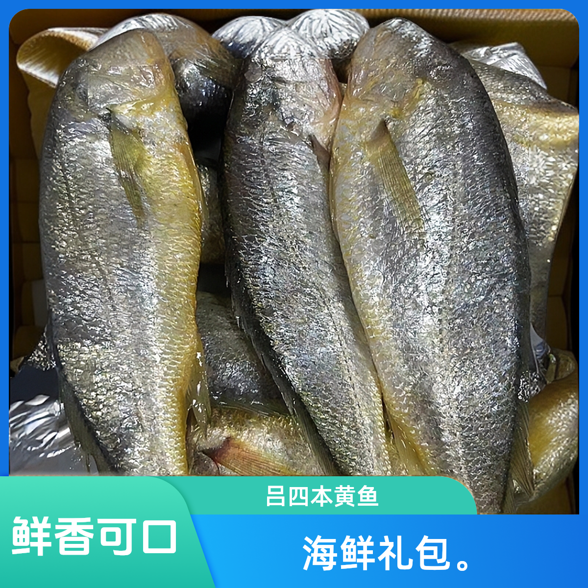 吕四本港海鲜细鳞黄鱼小黄鱼黄花鱼