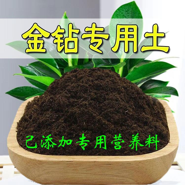 金钻专用土金钻专用营养土盆栽养花绿植种植土肥料通用种花土培