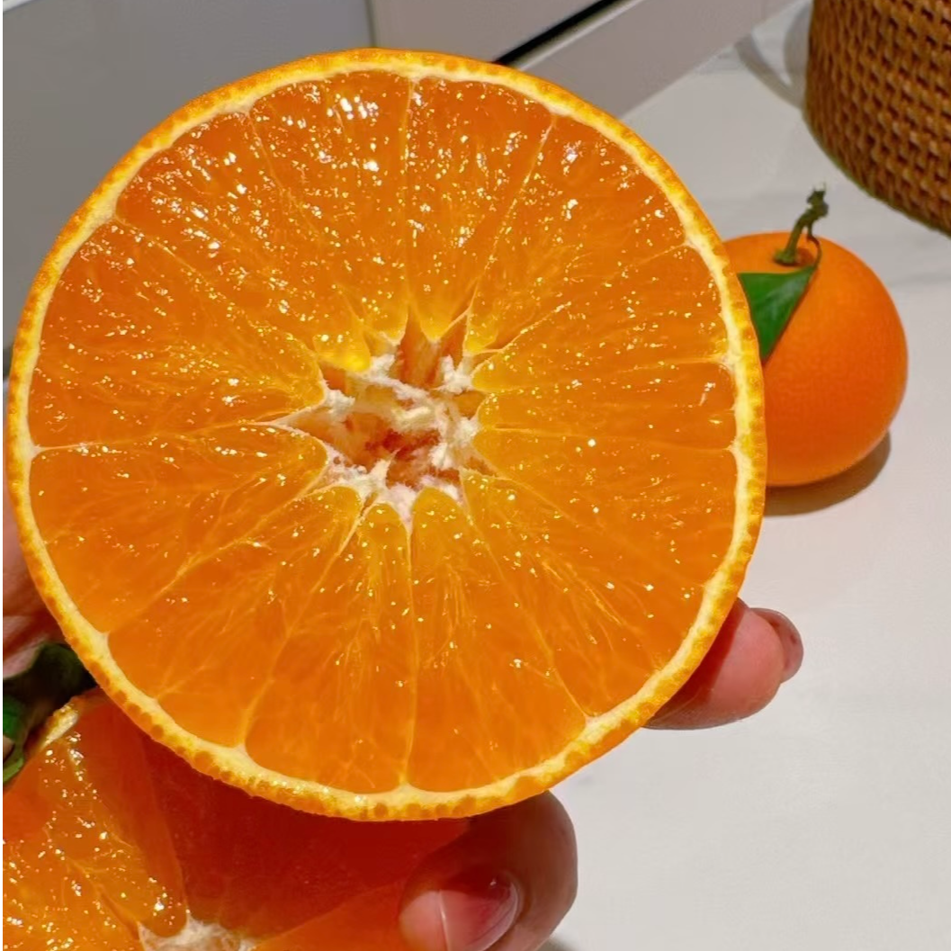 正宗四川眉山爱媛果冻橙38号新鲜采摘水果坏果包赔