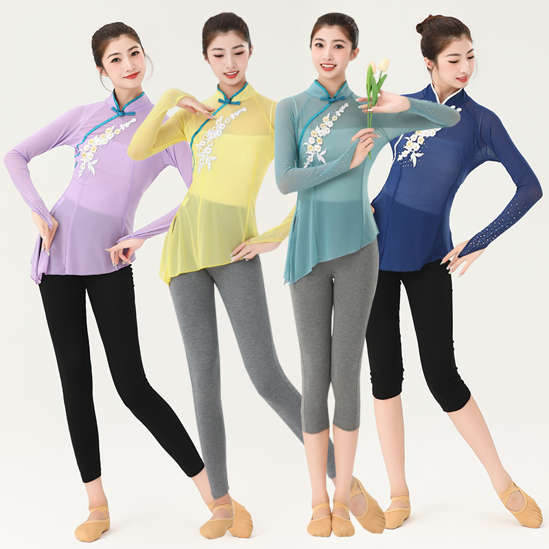 中国古典舞表演服胶州秧歌练功服女艺考身韵舞蹈纱衣扇子舞演出服