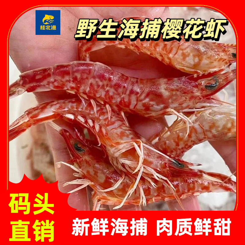 野生海捕深海火焰虾 可生腌刺身的樱花虾