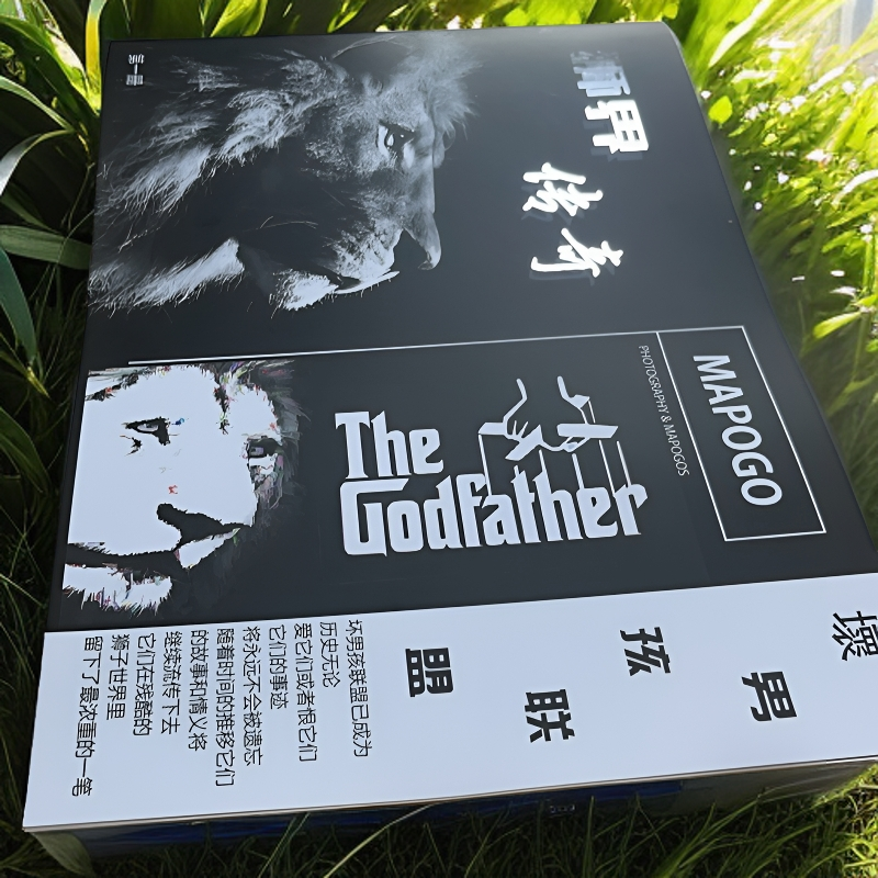 坏男孩联盟册珍藏限量版顺丰包邮安全快速