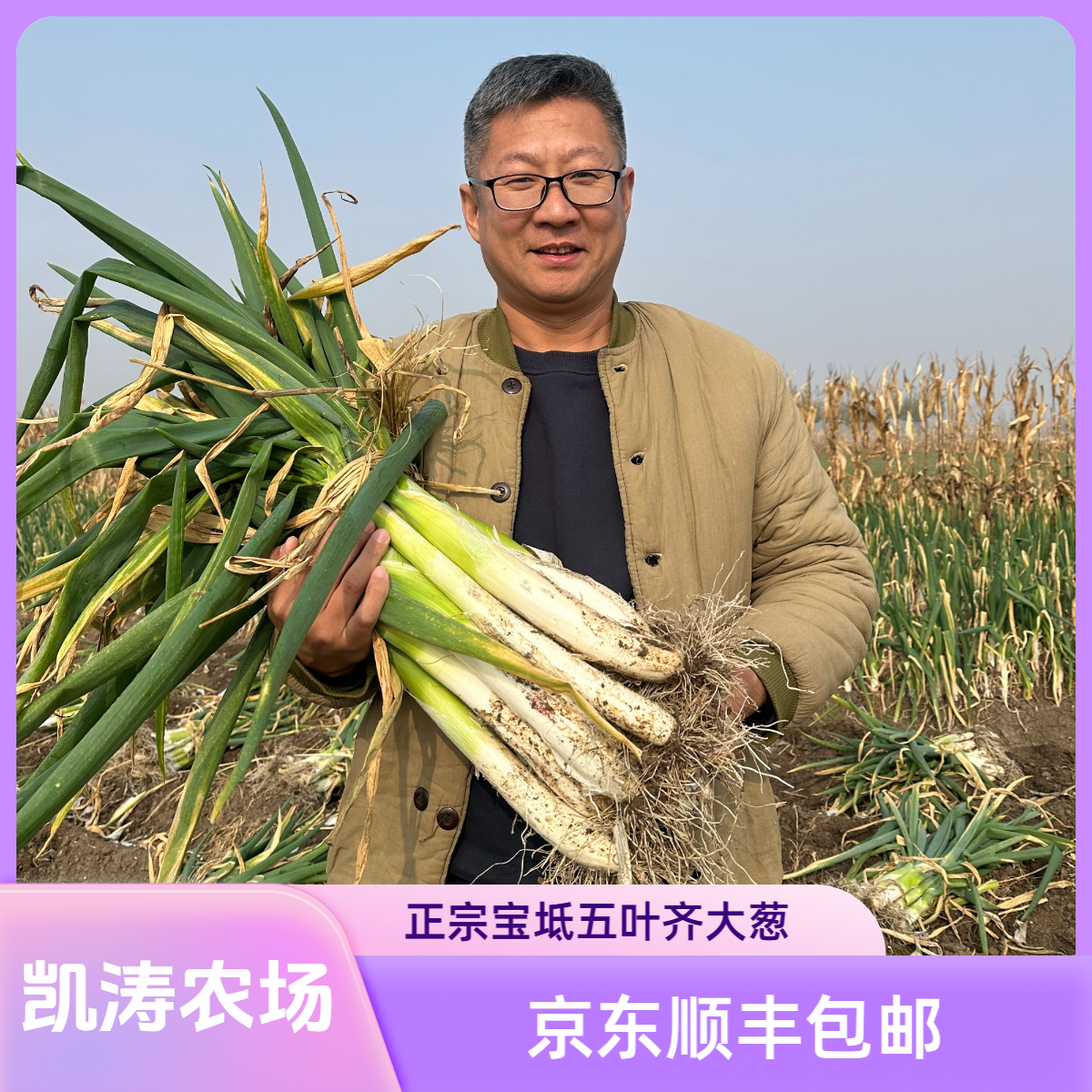 天津宝坻五叶齐大葱 现拔现发 京东顺丰包邮