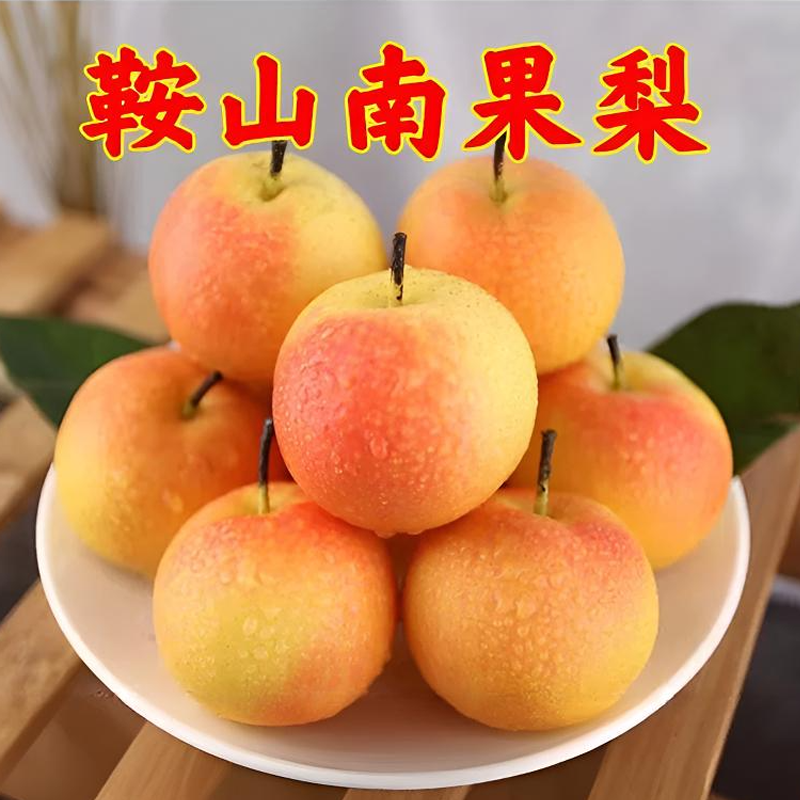 辽宁鞍山口感好吃南果梨南国梨包邮酒香四溢香甜正宗新鲜果园直发