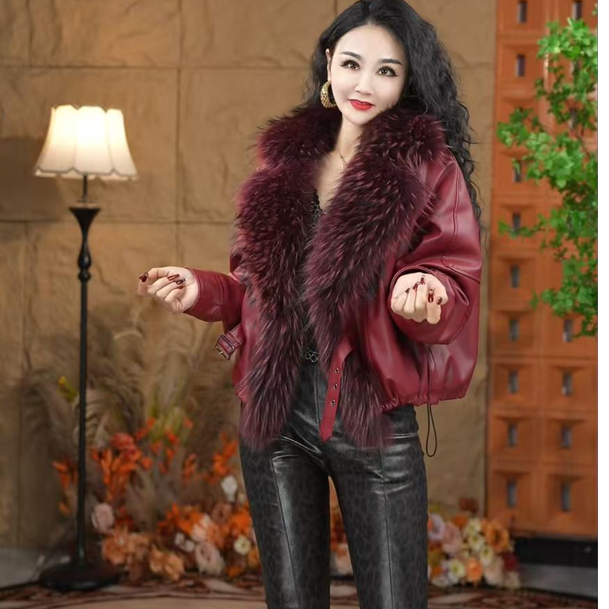 621【凡家衣橱】时尚百搭洋气个性设计感貉子毛领加绒加厚皮衣