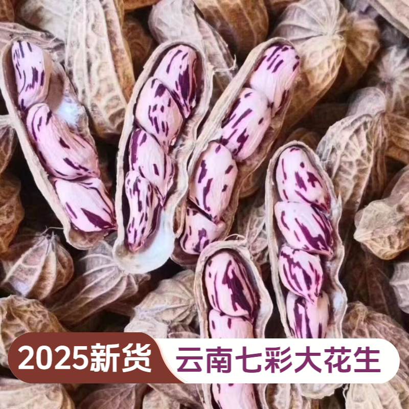 2025新鲜云南七彩带壳干花生口感细腻牛奶休闲零食露营野餐必备